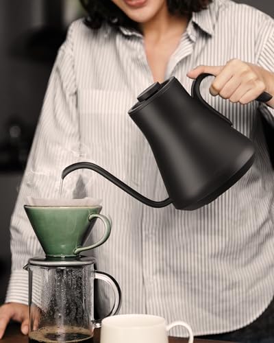 Gooseneck Electric Kettle with ±1℉ Temperature Control 0.9 Liter (Ebony Black)