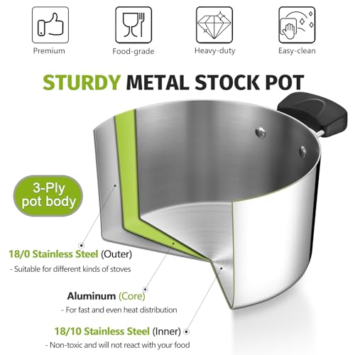 5 Qt Pot with Lid (5 Quarts)