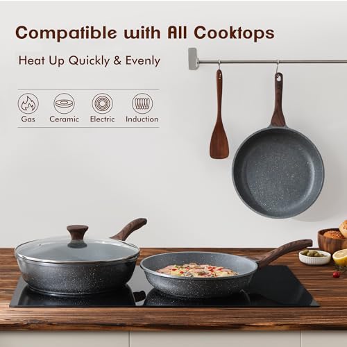 Nonstick Frying Pan Skillet (10 Inch / Gray)