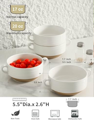 French Onion Soup Bowls (White / 20oz - 4pcs)