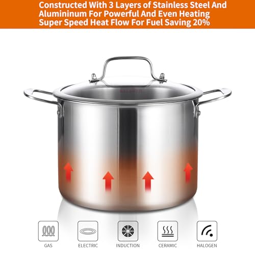 Tri ply Stainless Steel 8 Quart Heavy Duty Induction Stock Pot (Silver / 8QT Stockpot)
