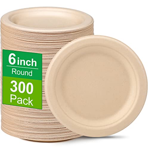 300 Pack 6 inch Paper Plates (6 inch 300 pack)