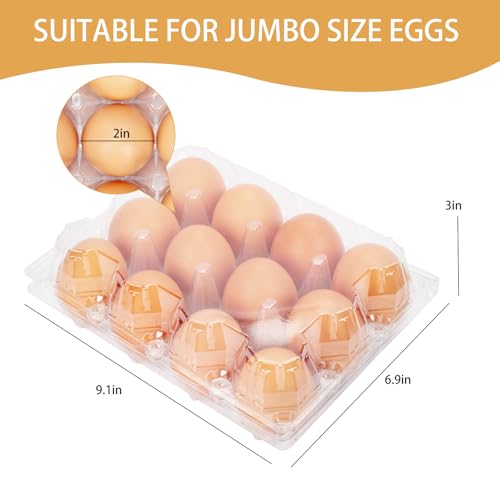 60Pack Duck Egg Cartons Cheap Bulk 1 Dozen Jumbo Egg Cartons (60Pack-3x4Grids)