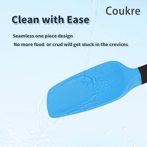 Silicone Spatula Set of 5 (Blue/Black)