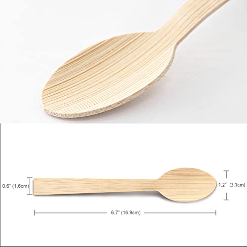 Bamboo Utensils (2000 Spoons)