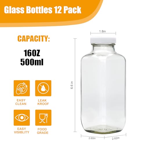 16 oz Juice Bottles with Lids (16 Ounces)