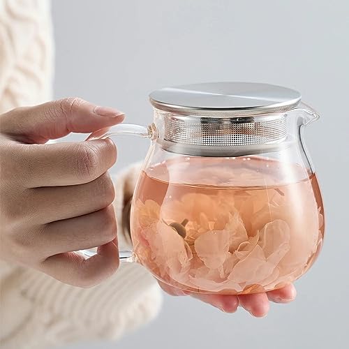 Glass Teapot with Removable Stainless Steel Filter Lid Stovetop & Microwave Safe Borosilicate Glass Kettle for Loose Leaf (15OZ)