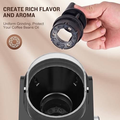 Burr Coffee Grinder (Polished Silver)