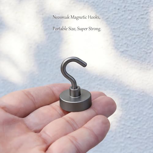 Magnetic Hooks (Gunmetal / 0.83 inches)