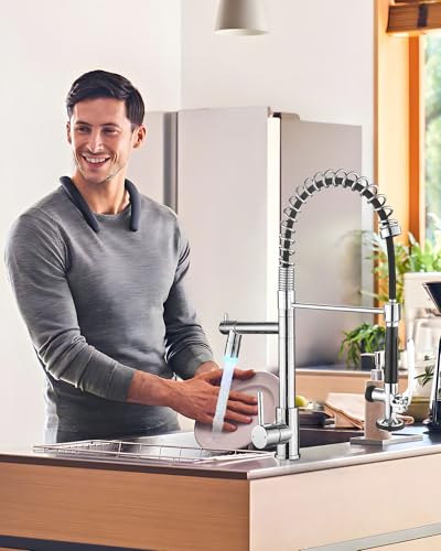 Chrome Kitchen Sink Faucet (Chrome)