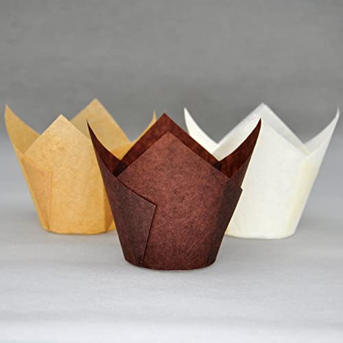 JUMBO EXTRA LARGE size (Jumbo Brown&White&Natural)