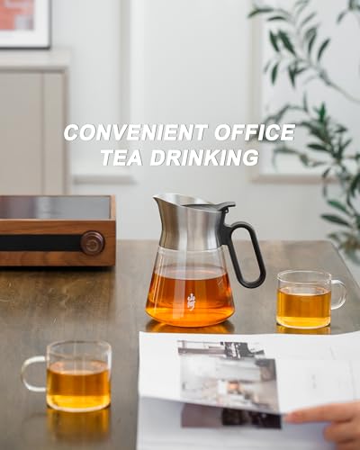 Glass Teapot with Infuser with 2 Cups for Loose Tea Steeper (23 oz (2 Cups))