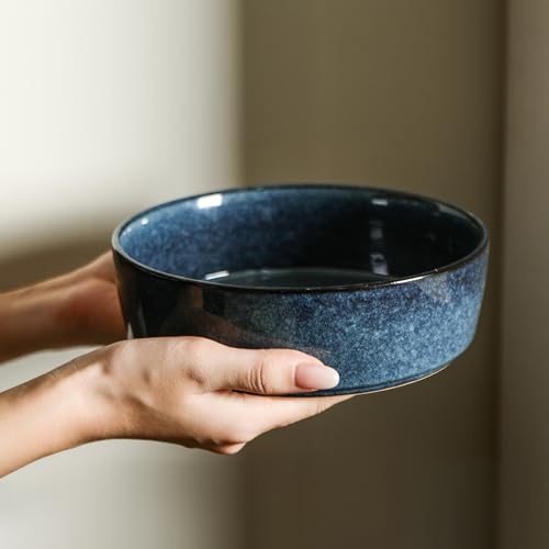 Eden 4 Piece Pasta Bowl Set Stoneware (Dark Blue / 4-Piece - Pasta Bowl)