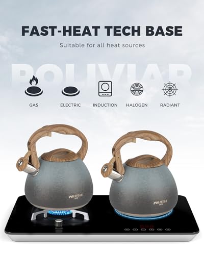 POLIVIAR Tea Kettle (2.7 Quarts / Crackle-Seabed)