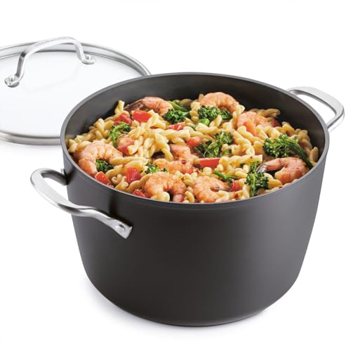 Hard Anodized Induction Nonstick Stock Pot with Lid (Stockpot (8 Quart))