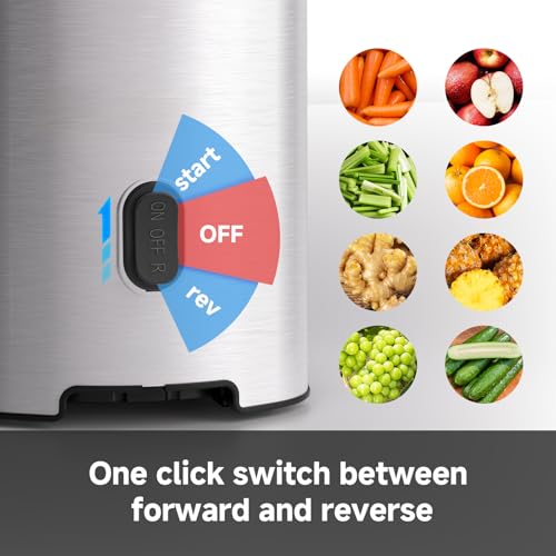 Cold Press Juicer Machine (Silver / 5.4")