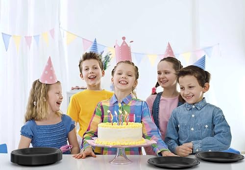 Sturdy Black Plastic Plates 10" Party Plates 100 Pcs (10 inch / Black)
