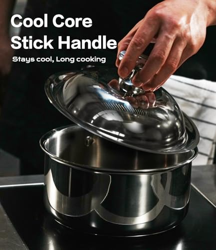 3 Quart Stainless Steel Saucepan with Lid (3 Quart)