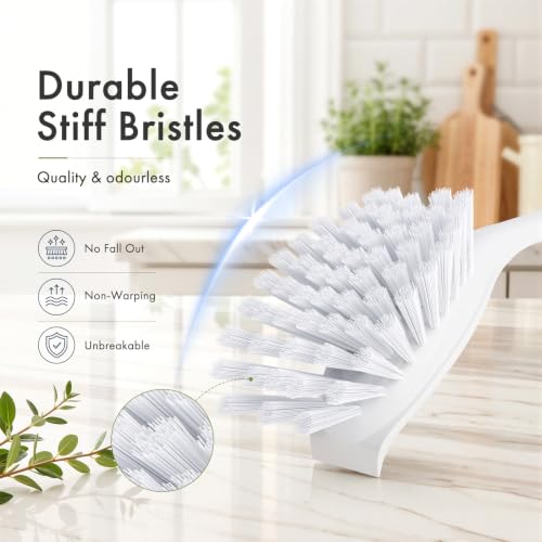 Dish Brush with Handle (2 Count)