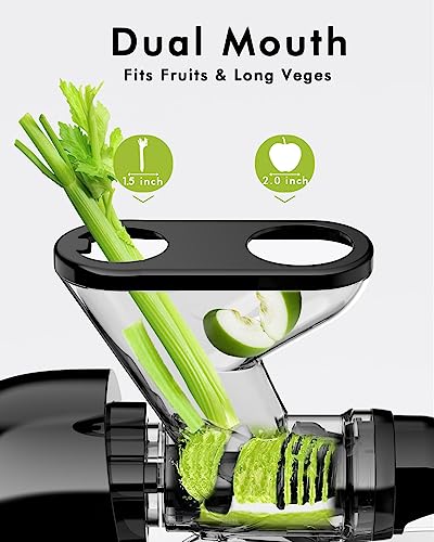 Mini Slow Masticating Juicer (Glossy Black)