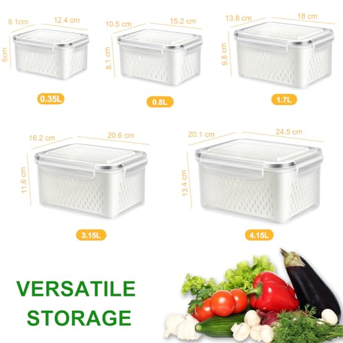 5 Pack Fruit Storage Containers for Fridge Berry Keeper Produce Saver (5 Pack Produce Savers)