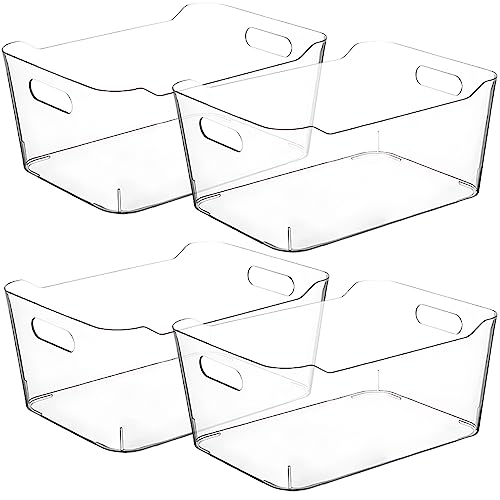 Clear Storage Bins (Medium)