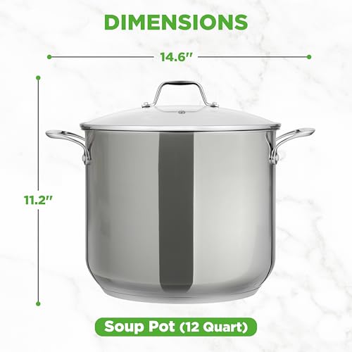 12 Quart Stainless Steel Stock Pot with Lid (Stainless Steel / 12 Quarts)