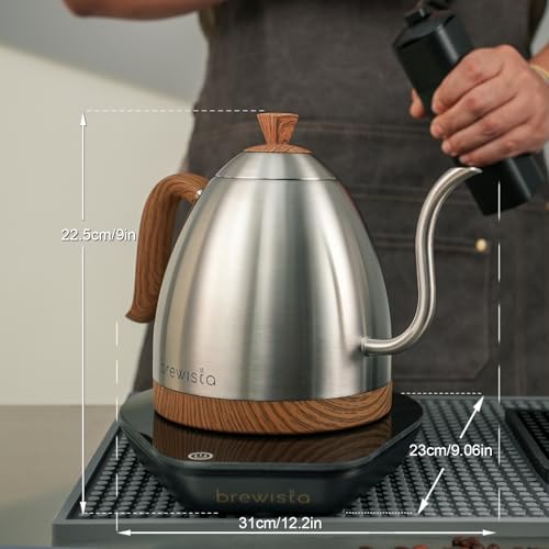 Artisan Electric Gooseneck Kettle (Stainless Steel)