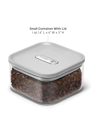 1 qt Glass Airtight Food Storage Container with Lid (Gray / 1qt Container)
