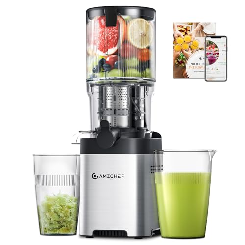 Cold Press Juicer (Silver / 5.4-inch)