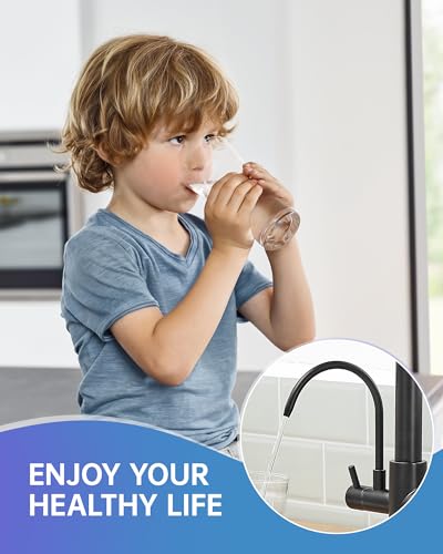 3 in 1 Kitchen Sink Faucet with Drinking Water Faucet Matte Black (Matte Black)