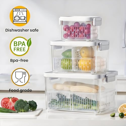 6 Pack Large Fruit Storage Containers for Fridge with Timing Knob (S+M+L-6 Pack)