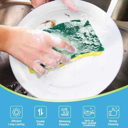 XL Scrub Sponges Kitchen 24Count (24 Count)