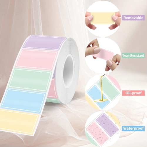 500PCS Removable Labels (Colourful / 1*2 inch)