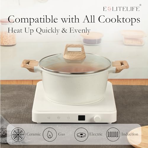 Nonstick Stock Pot with Lid