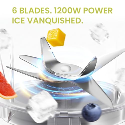 Smoothie Blender (Silver / 1200W)