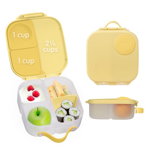 Mini Lunch Box