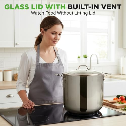 19 Qt Stock Pot with Lid (Stainless Steel / 19 Quarts)