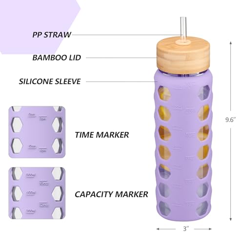 Glass Water Bottle (Purple / 24 Ounces)