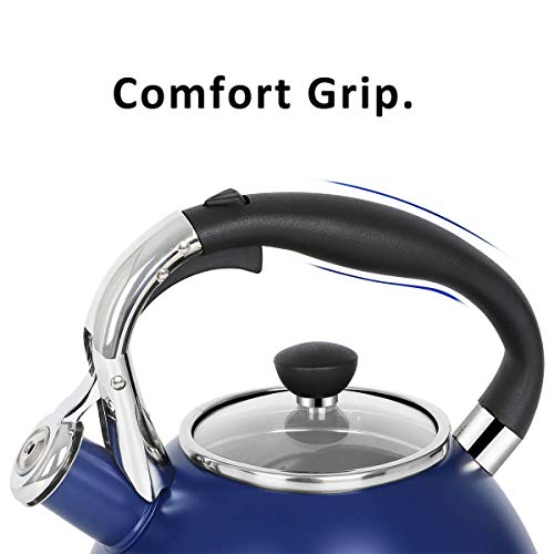 Whistling Tea Kettle for Stove Top (Blue)