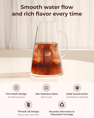 2 Pack Reinmoson Large Tea Infuser for Loose Tea & Spice Ball for Cooking (Large)