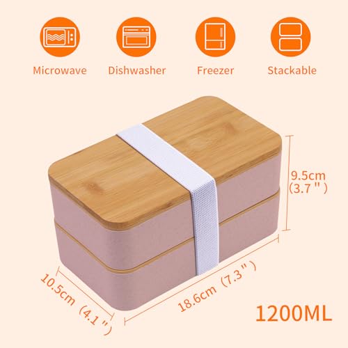 Bento Box Adult Lunch Box with Dividers