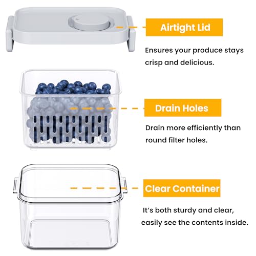 Dishwasher Safe Berry Keeper (S-2 Pack)