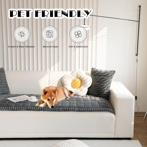 Couch Cover for Dogs Washable Non