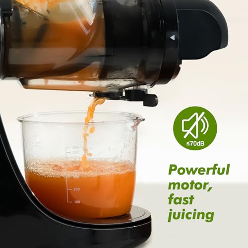 Juicer Machines (Bright Black)