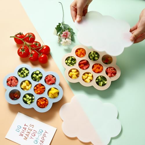2 Pack Baby Food Freezer Tray with Lids