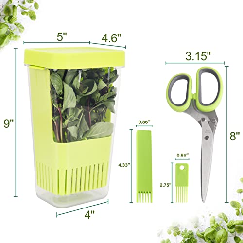 Herb Keeper Set (Herb Keeper Set/Green&Blue&Orange)