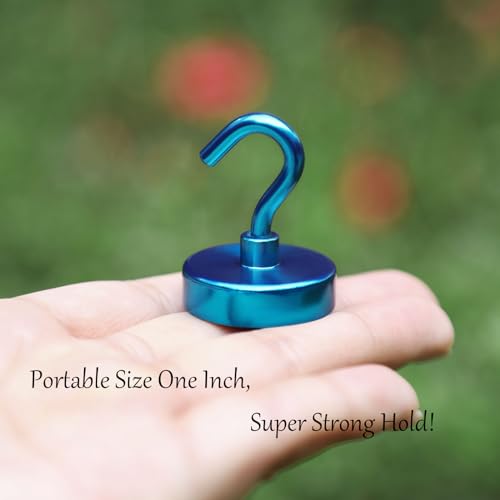 Magnetic Hooks (10 Count)