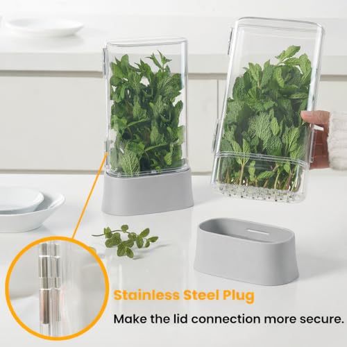 Herb Keeper for Refrigerator (1 PACK)