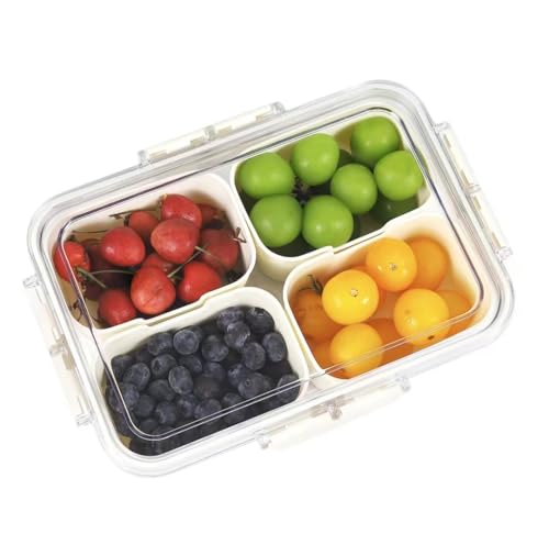 Snack Box Container (1 PC - 4 Compartments)